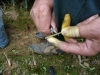 -Nesto2fixfix